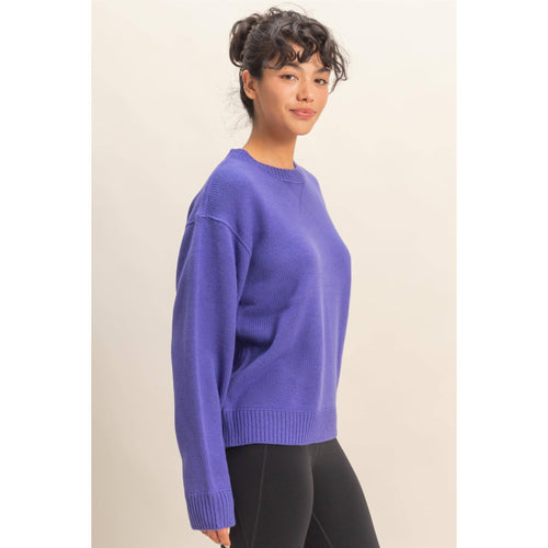 Crew Neck Purple Sweater