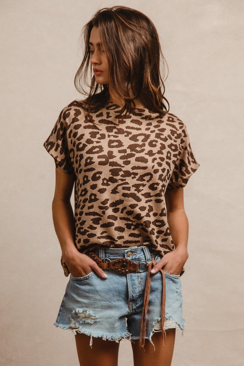 Leopard Knit Top